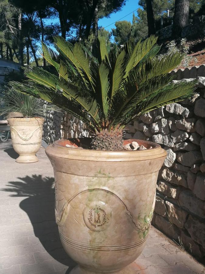 Le Mas Des Roches A Velaux Luaran gambar